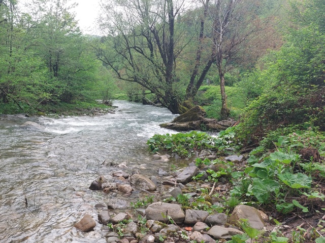 FISHING CLUB ZAGORJE NA ČABRANKI 11