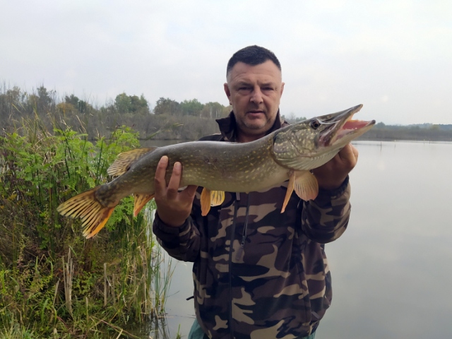 LOV NA KAPITALNE ŠTUKE 1