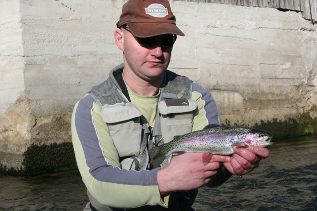 KRKA OB KRKI 2