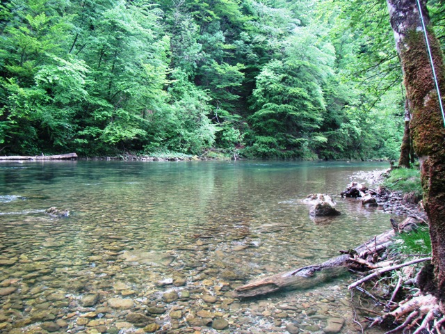 MUŠIČARENJE U NP RISNJAK 4
