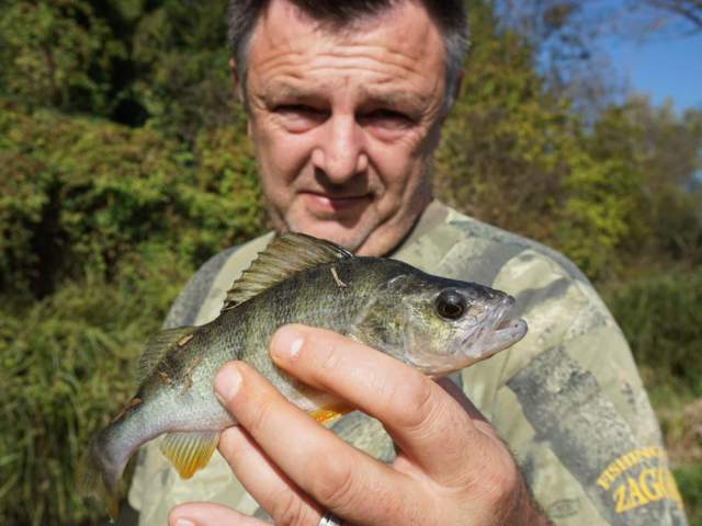 RIBOLOV NA RIBNJACIMA KUPA 1