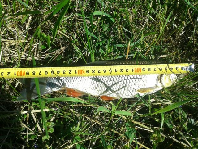 URBAN STREET FISHING KRAPINA 2017 7