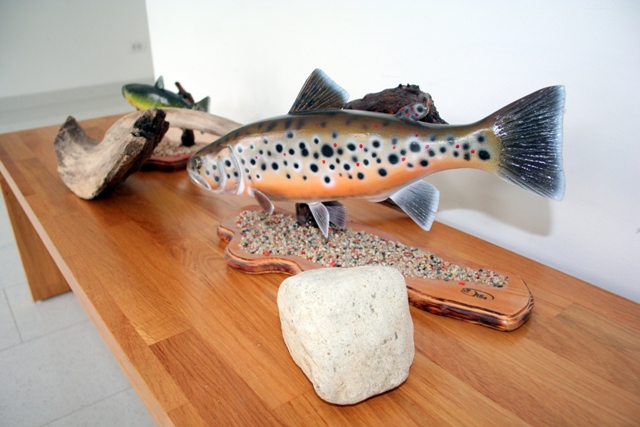 6. IZLOŽBA FOTOGRAFIJA FISHING CLUBA ZAGORJE 4